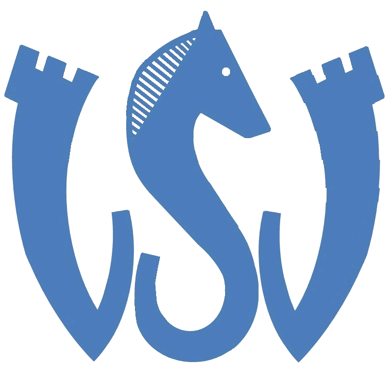 VSV
